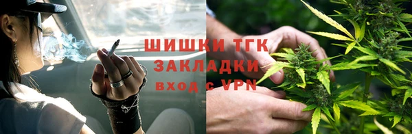 гашик Вязьма