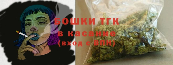 индика Вязники