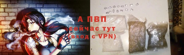 гашик Вязьма