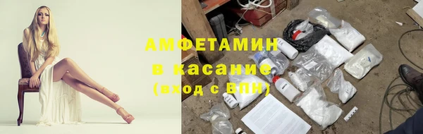 индика Вязники