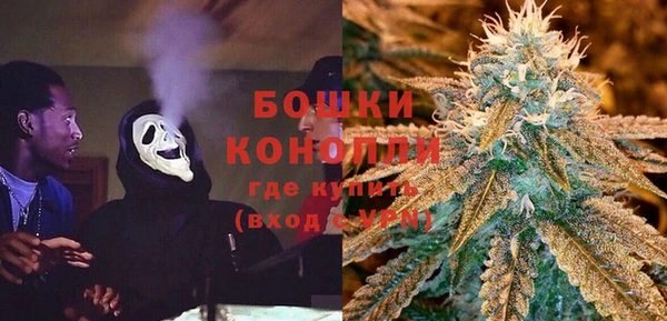 гашик Вязьма
