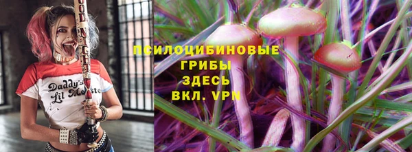 ECSTASY Вяземский