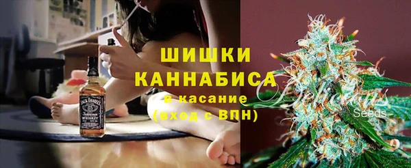 индика Вязники