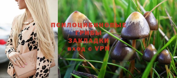 ECSTASY Вяземский