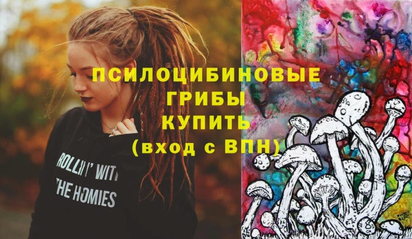 индика Вязники