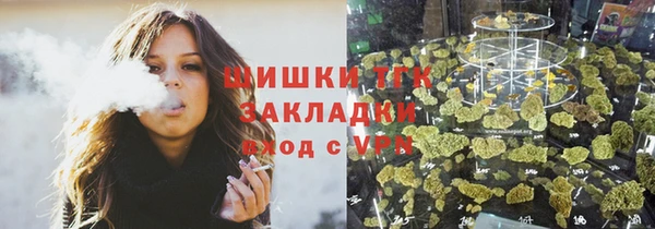 гашик Вязьма