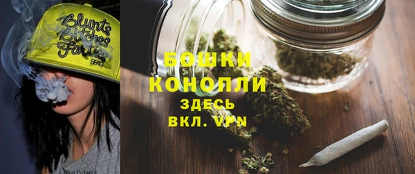 гашик Вязьма