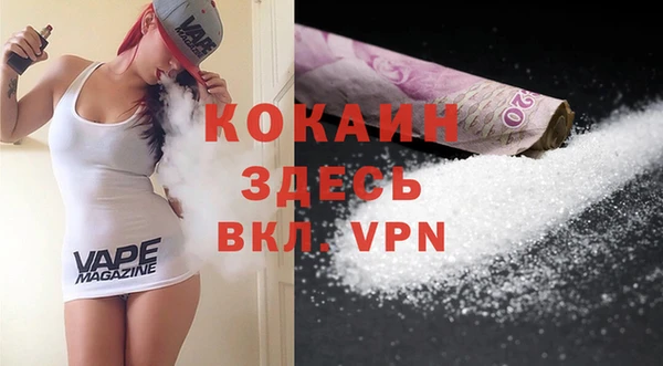 индика Вязники