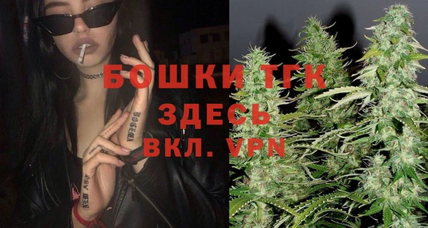 гашик Вязьма